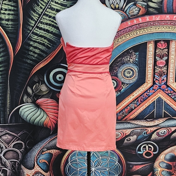 MINUET | MESH DETAILED BOMBSHELL BUSTIER MINI DRESS - Picture 12 of 16